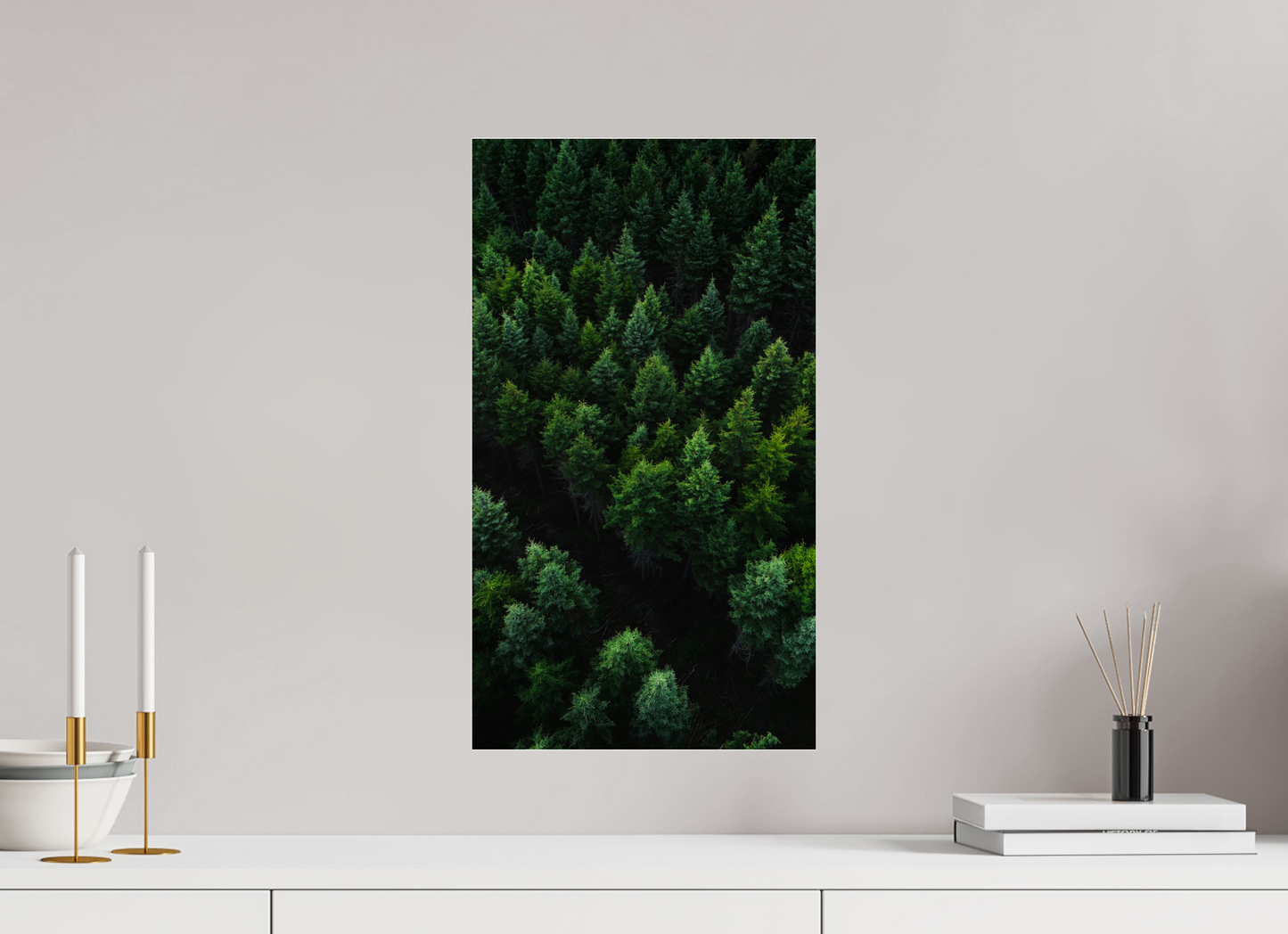 Forêt Boréale – Cœur de la Nature Canadienne