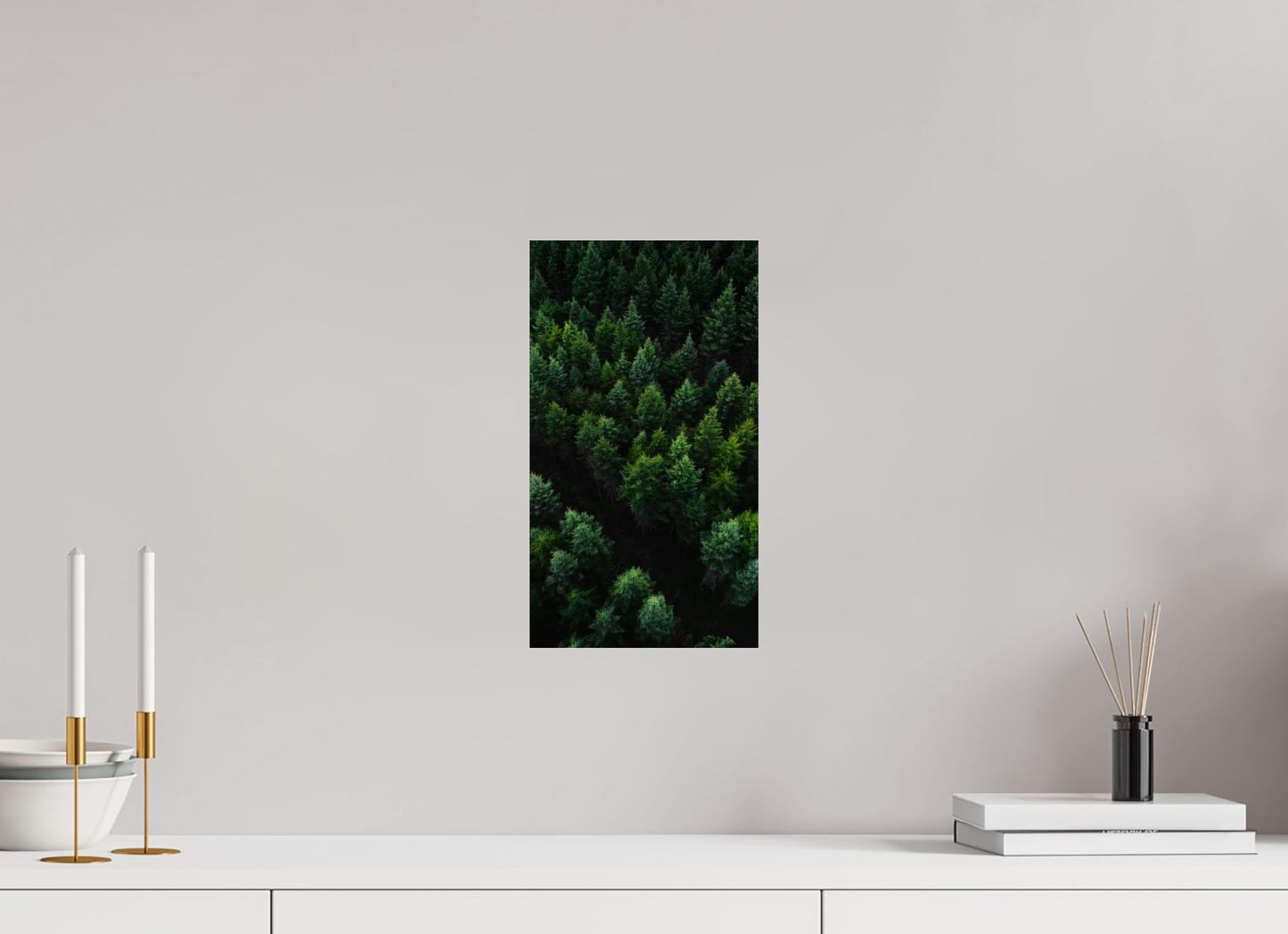 Forêt Boréale – Cœur de la Nature Canadienne