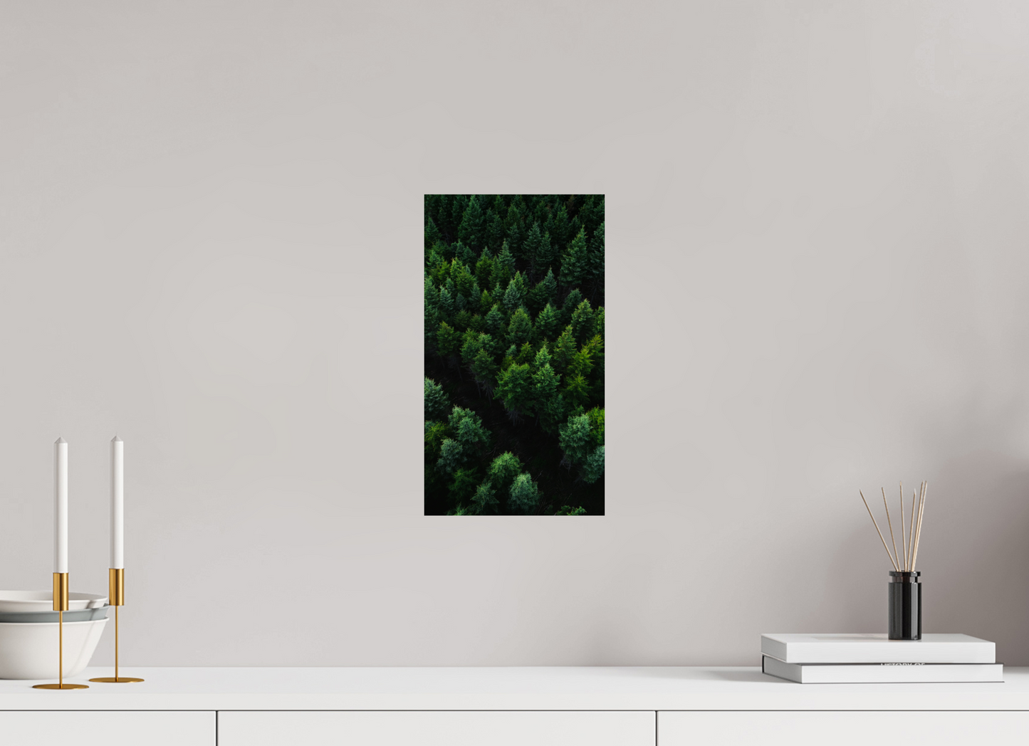 Forêt Boréale – Cœur de la Nature Canadienne