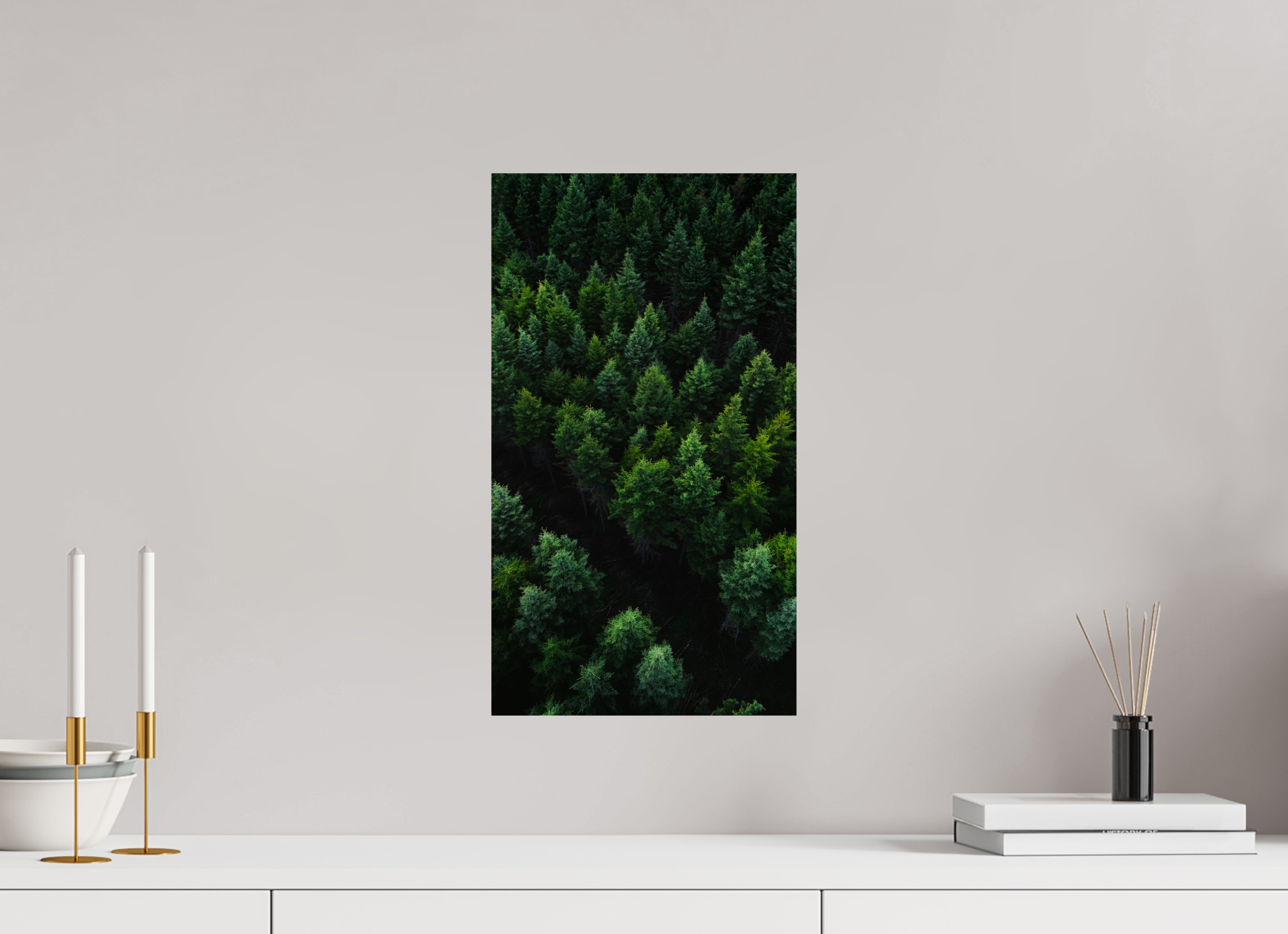 27 x 48 cm, Photo Print On Fuji Crystal DP II Photographie Murale - Fôret Canadienne