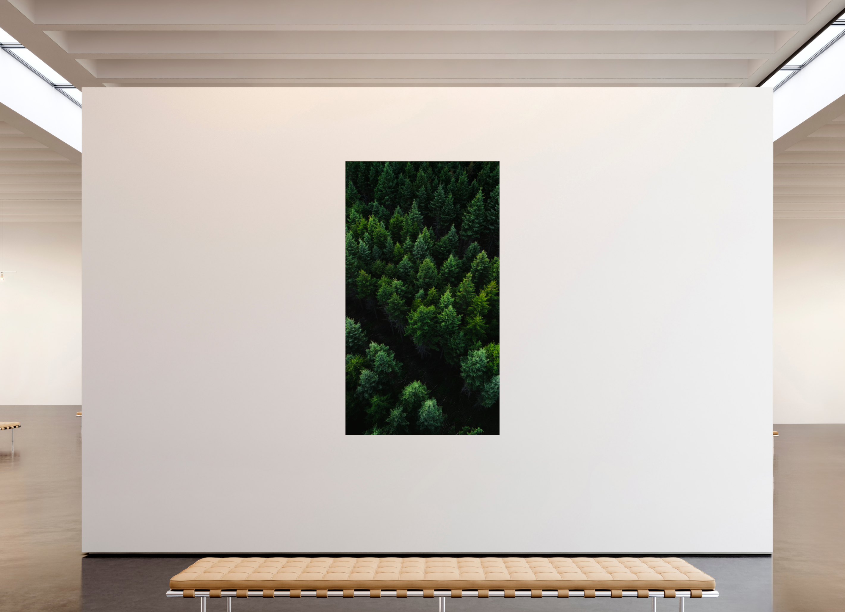 117 x 208 cm, Photo Print Under Acrylic Glass Photographie Murale - Fôret Canadienne