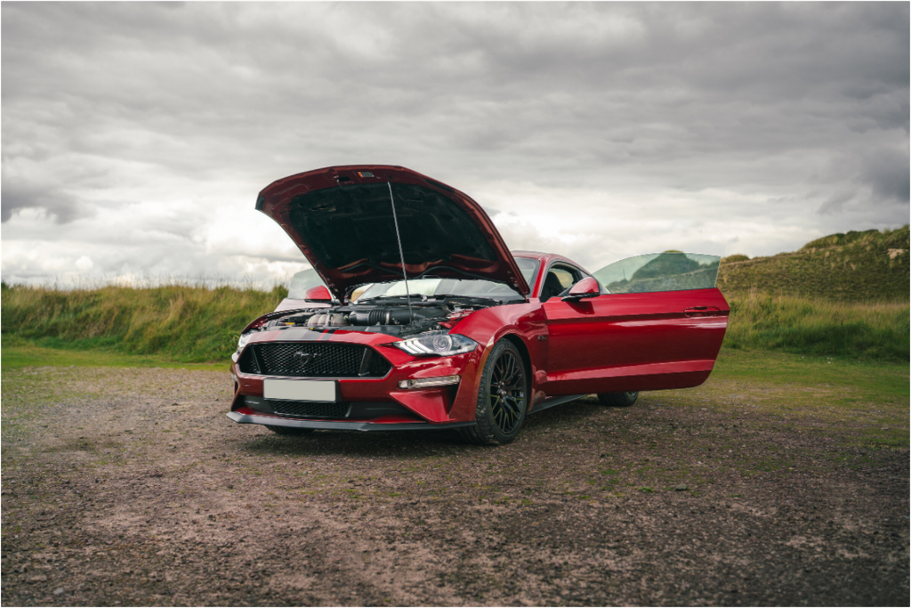 Main image Photographie Murale - Mustang VI GT Hatchback 2018